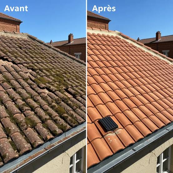 Toiture avant et après démoussage